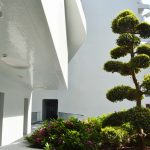 Stella-1-bed-for-sale-in-Monaco-Caroline-Olds.4-scaled-1