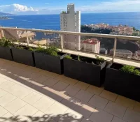 Exotic Garden – 5-Room Apartment in Patio Palace
P..