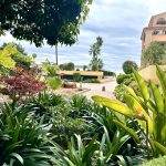 cyclades-garden-caroline-olds-real-esate-1744024906-3000×2250-1