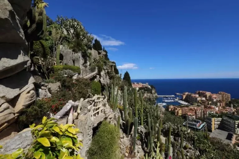 Exotic Garden – Independent Villa with Rental Inco..