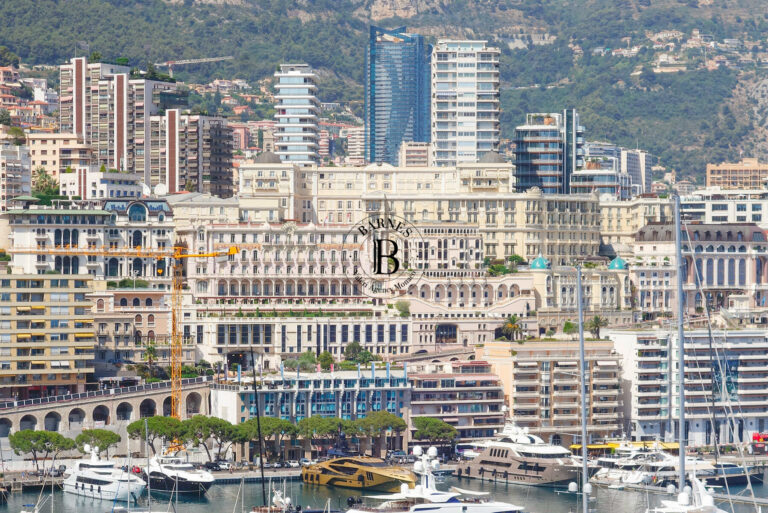 FOR SALE – LUXURY 6/7 ROOMS ROOFTOP APARTMENT IN C..