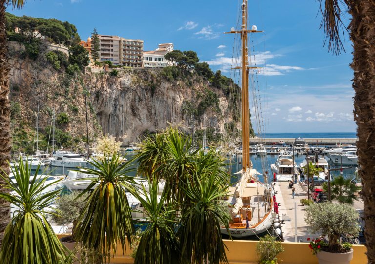 RENOVATED LUXURY APARTMENT WITH PORT VIEW – FONTVI..