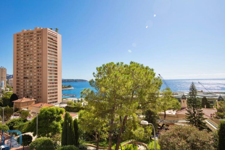 FOR SALE – RENOVATED MAID’S ROOM WITH TERRACE IN T..