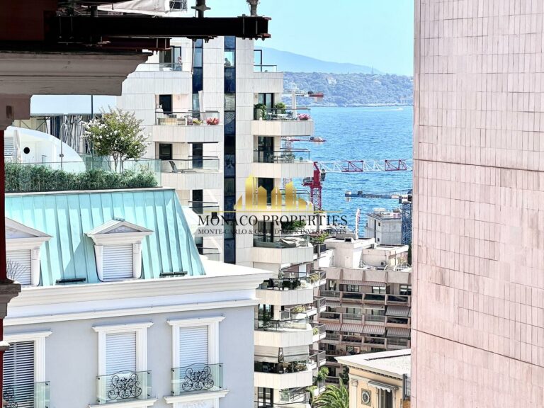 FOR SALE: CARRÉ D’OR | MONTAIGNE | STUDIO WITH LOG..