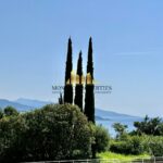 img-2873-1690538127