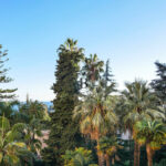 jardin-roqueville-vue-1674230881