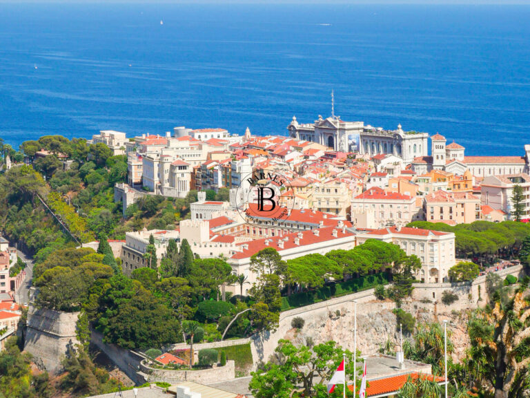 FOR SALE – 1-BEDROOM FLAT TO RENOVATE | MONACO-VIL..