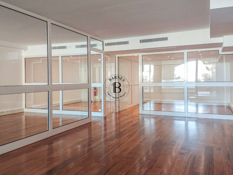 FOR SALE – QUIET OFFICE IN FONTVIEILLE PORT
Price:..