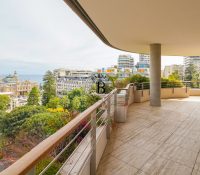 FOR RENT – LUXURY FULL-FLOOR APARTMENT – PETITE AF..