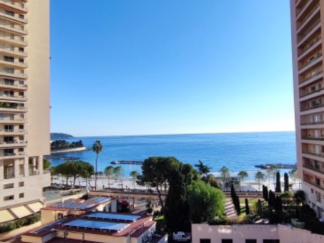 3-ROOM APARTMENT FOR RENT – LE SAN JUAN
Larvotto, ..