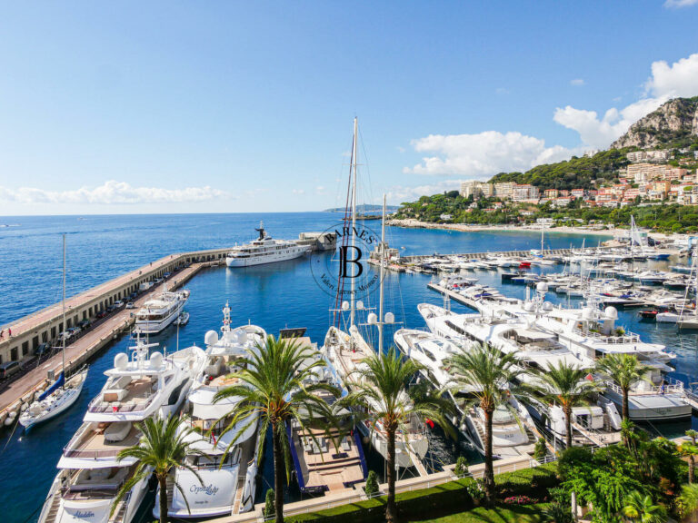For Sale – Fontvieille – Apartment on Entire Floor..