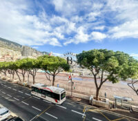 FOR SALE – DUAL-USE 2-BEDROOM APARTMENT IN MONACO ..