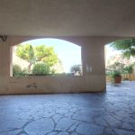 vue-bis-1720104285