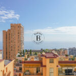 vue-mer-1729764117-1