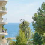 vue-mer-vallespir-1744730135-1