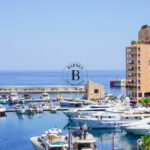 vue-mer-zoom-fontvieille-2-pie-ces-1751875125