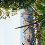 vue-zoom-piscine-1648736092