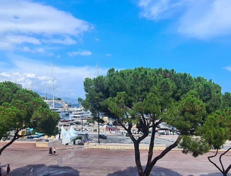 FOR SALE – CONDAMINE – 3-ROOM APARTMENT WITH SEA &..