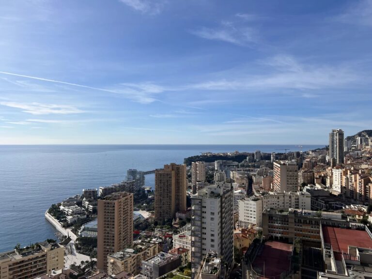 FOR SALE – SAINT ROMAN – EXCEPTIONAL DUPLEX PENTHO..