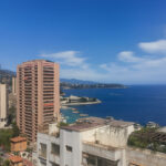 ambassador-vue-1753172816