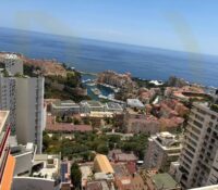 Magnificent 3-room renovated and furnished.