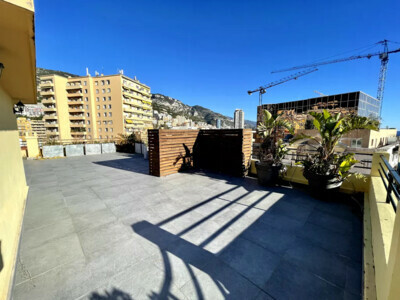 FOR SALE – MONEGHETTI – PENTHOUSE 4/5 ROOMS, PALAI..