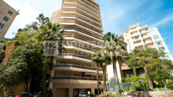 FOR SALE – JARDIN EXOTIQUE – LES LIGURES – CELLAR
..