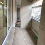 img-2558-1707762364