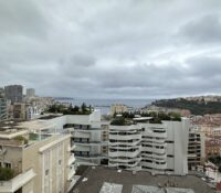 FOR RENT – MONEGHETTI – RENOVATED 1-BEDROOM WITH S..