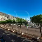 l-albatros-petrini-exclusive-real-estate-monaco-view-f1-track-gp-grandprix-monte-carlo6-1737190583