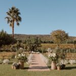 mariage-plan-de-la-tour-domaine-viticole.jpg