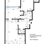plan-sta-1737454543