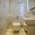 toilette-1732188120