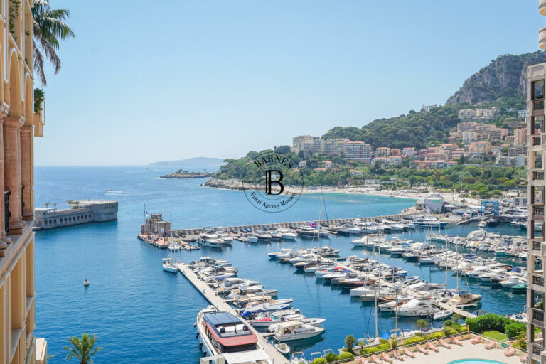 FOR SALE – FONTVIEILLE – MASTER 5-BEDROOM APARTMEN..