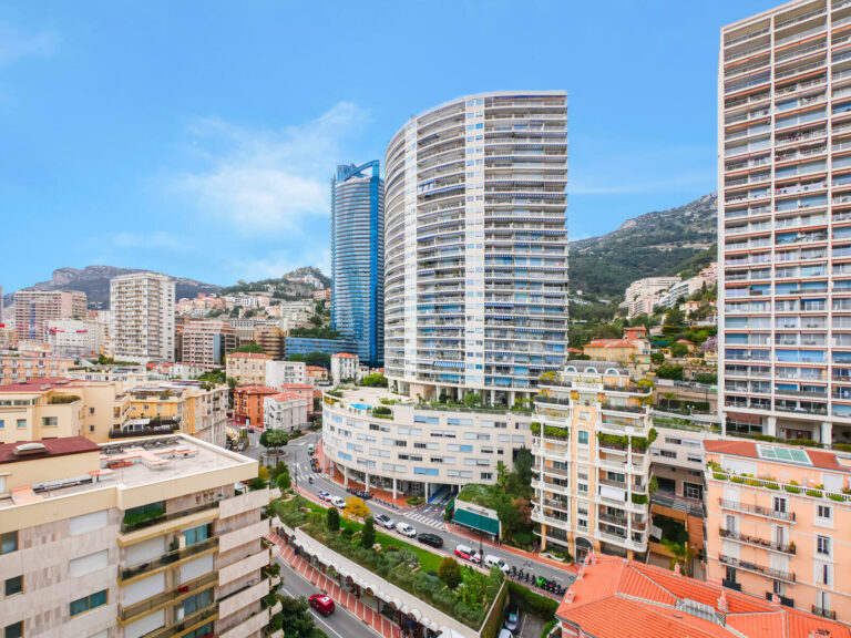 FOR SALE – LA ROUSSE – ROOFTOP DUPLEX WITH LARGE T..
