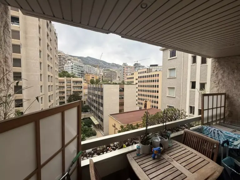 FOR RENT – LE SUFFREN – 2 ROOMS – 100 SQM
Price: €..