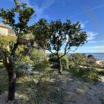 Apartments – Gallery 6