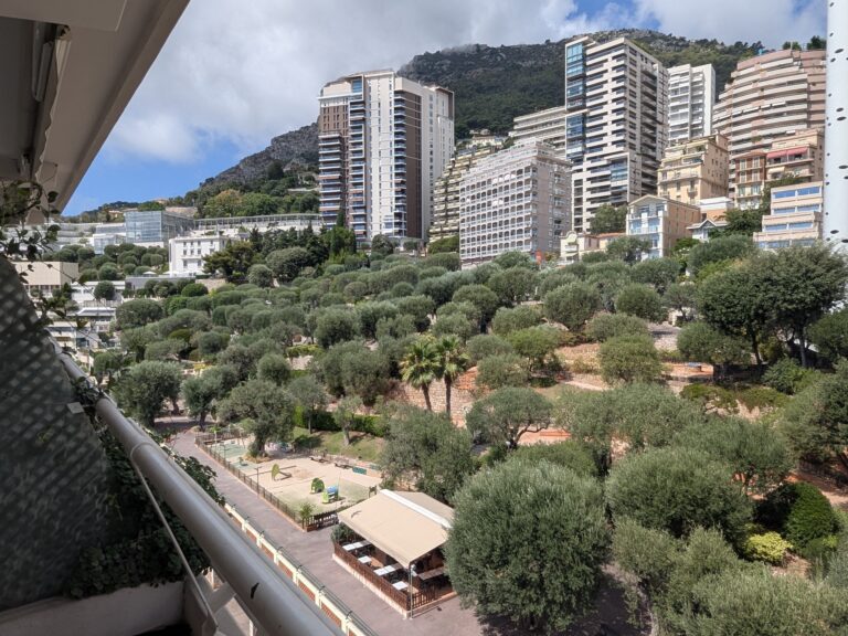 FOR RENT – JARDIN EXOTIQUE – RENOVATED STUDIO WITH ALCOVE