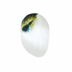 2022-02-09_11-22-03_COMETE_MIROIR_2.png