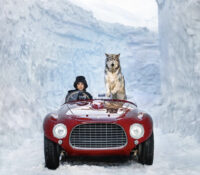 1953 (Colour) – David Yarrow

Edition: 1/12
Size: ..