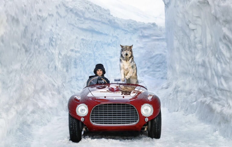 1953 (Colour) – David Yarrow

Edition: 1/12
Size: ..