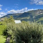 Village house with garden in Courchevel – Gallery 3