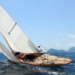 vega-sailing-3