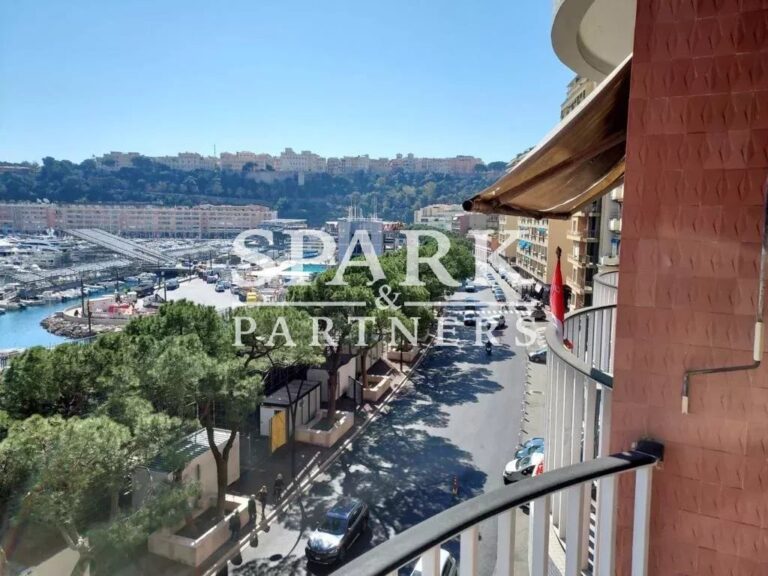 Monaco – Port Hercule – GP terrace rental