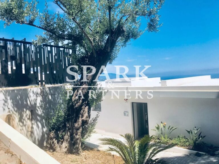 Cap d’Ail – 3-room apartment with stunning sea view and swimming pool