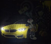 Hello. I suggest you consider a unique painting.
T..