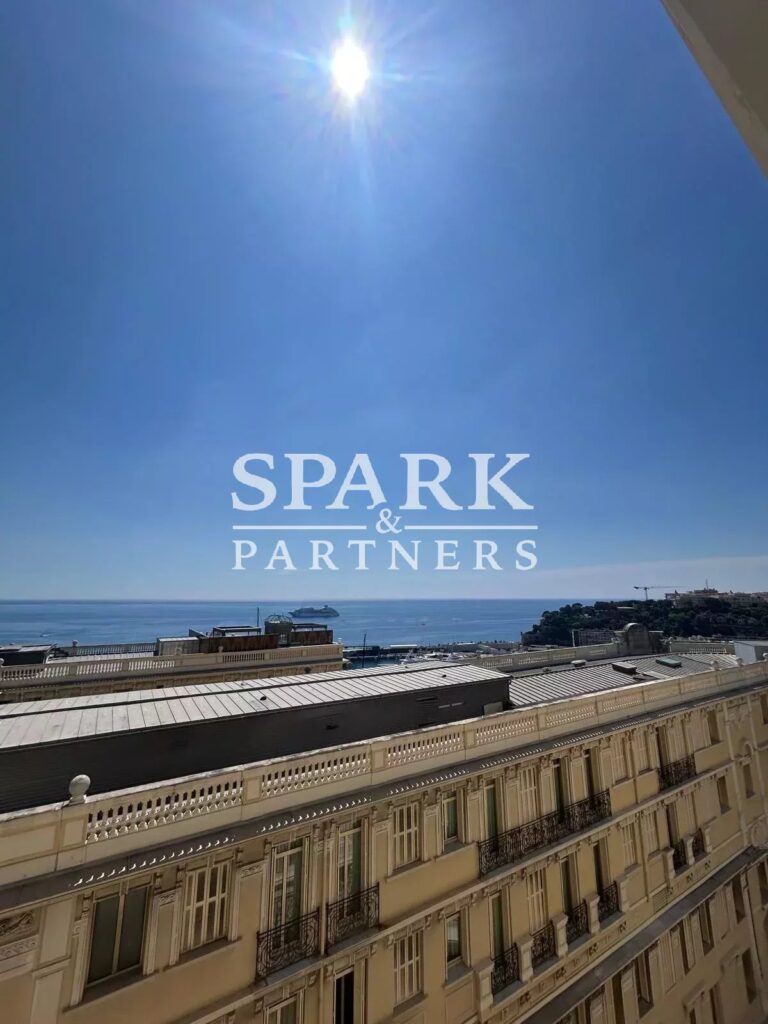 Charming studio with sea view