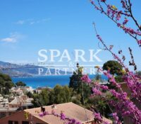 Roquebrune Cap Martin - Detached house in a private estate