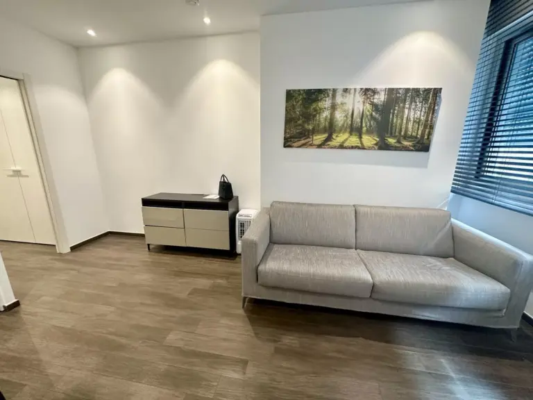 FOR RENT – MODERN FULLY RENOVATED STUDIO – CHÂTEAU..