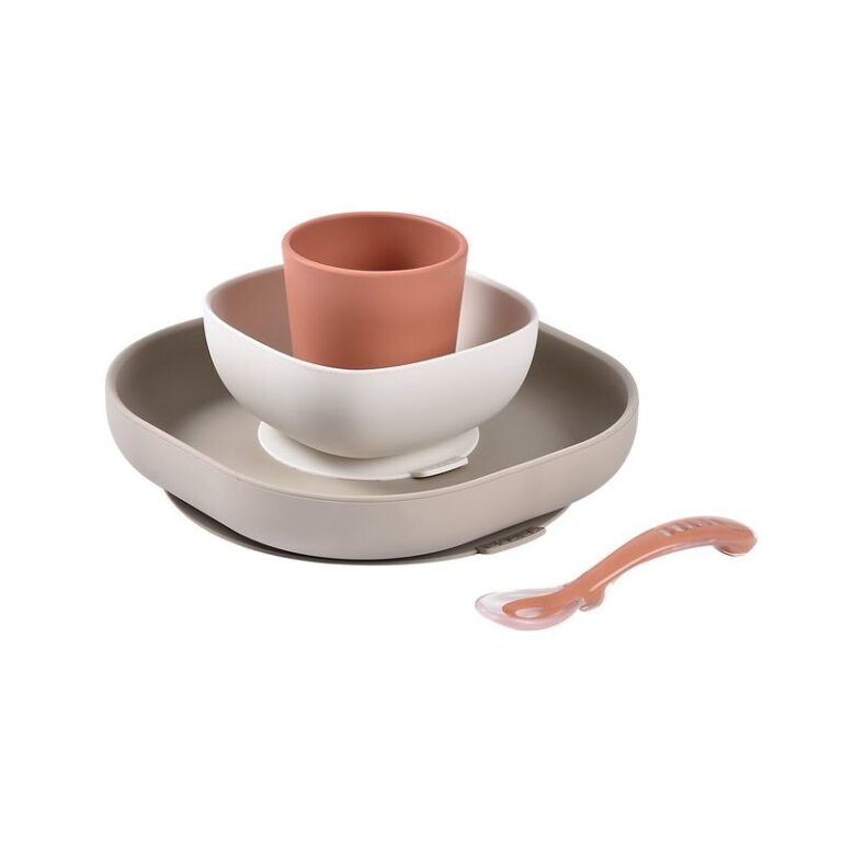 SILICONE MEAL SET – TERRACOTTA

Brand: BEABA
Refer..